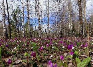 Участок на продажу, 9.5 сот., село Воскресеновка, Совхозная улица