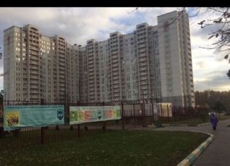 Однокомнатная квартира в аренду, 45 м2, Москва, Некрасовская улица, 9, район Некрасовка