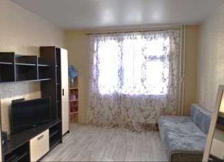 Продаю 1-комнатную квартиру, 39 м2, деревня Брёхово, микрорайон Школьный, к10