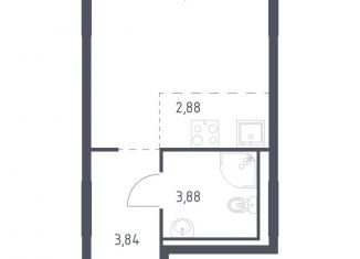 Продается квартира студия, 22.4 м2, деревня Новосаратовка