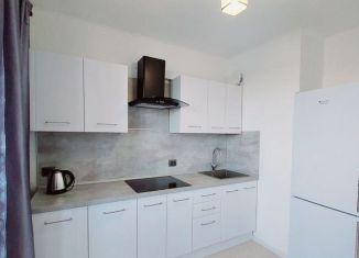 Сдача в аренду 1-комнатной квартиры, 33 м2, поселок Бугры, Тихая улица, 13к3