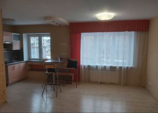 Продается однокомнатная квартира, 30 м2, Нижегородская область, улица Мира, 9