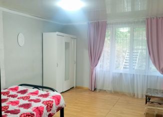 Продажа дома, 40 м2, село Пляхо, улица Шаумяна