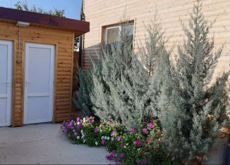 Сдается дом, 45 м2, село Знаменское, Полтавская улица, 30