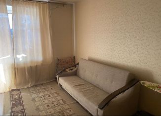 Аренда 1-комнатной квартиры, 42 м2, Нижегородская область, Нижне-Печёрская улица, 6