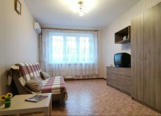 Сдается в аренду однокомнатная квартира, 43 м2, Краснодар, проспект Писателя Знаменского, 10
