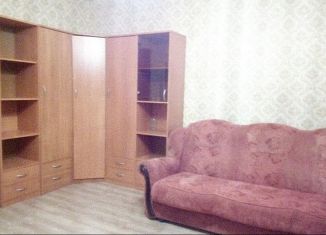 Продается однокомнатная квартира, 36.1 м2, Нижний Новгород, улица Челюскинцев, 20, метро Парк Культуры