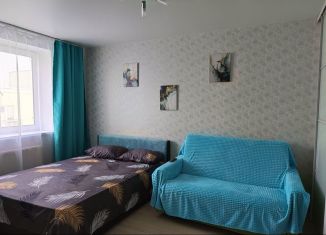 Сдача в аренду 1-комнатной квартиры, 34 м2, Самарская область, улица Евгения Золотухина, 32