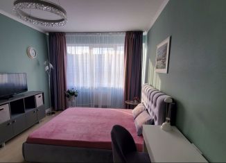 Сдается однокомнатная квартира, 32 м2, Санкт-Петербург, проспект Испытателей, 11к1, метро Удельная
