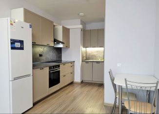 Сдам в аренду 1-ком. квартиру, 40 м2, посёлок Парголово, улица Шишкина, 299