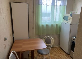 Сдача в аренду 1-ком. квартиры, 30 м2, Екатеринбург, проезд Решетникова, 7