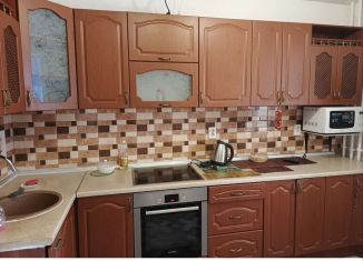 Сдается в аренду однокомнатная квартира, 40 м2, Мурино, проспект Авиаторов Балтики, 5, ЖК Виктория