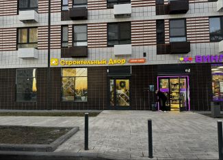 Сдается в аренду помещение свободного назначения, 59.7 м2, Москва, Салтыковская улица, 6/2к4, район Косино-Ухтомский