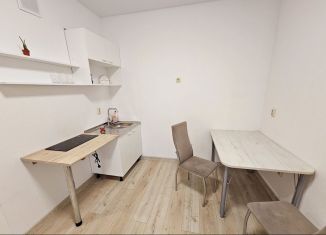 Сдам в аренду 1-ком. квартиру, 30 м2, Тюмень, улица Виктора Тимофеева, 9