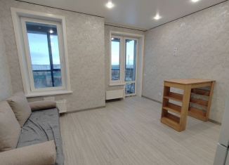 Квартира в аренду студия, 25 м2, Северодвинск, Беломорский проспект, 3Ак1