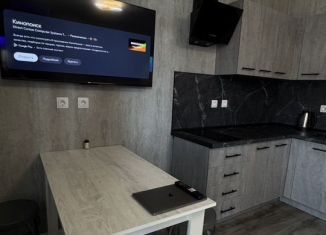 Квартира в аренду студия, 33 м2, Краснодар, улица Героев-Разведчиков, 6к3, ЖК Перспектива
