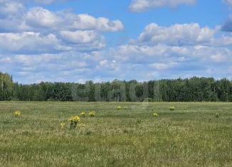 Продаю участок, 200 сот., село Горьковка, Сибирская улица