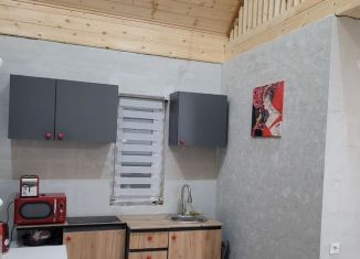 Сдаю дом, 46 м2, Байкальск, 3-я Байкальская улица, 35