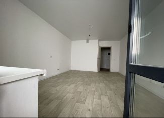 Квартира на продажу студия, 27.9 м2, деревня Новое Девяткино, Главная улица, 12