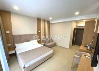 Продается квартира студия, 25.8 м2, село Небуг, Новороссийское шоссе, 6А