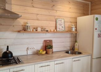 Сдаю дом, 60 м2, Санкт-Петербург, Дачная улица, 1с1