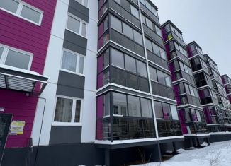 Продажа двухкомнатной квартиры, 42 м2, Петрозаводск, Вьюжный проезд, 4, район Древлянка