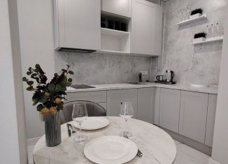 Продажа квартиры студии, 25 м2, Сочи, Навагинская улица, 11Б, микрорайон Центральный