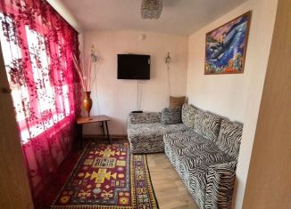 Сдаю в аренду квартиру студию, 29 м2, сельский посёлок Новинки, 2-я Дорожная улица, 7