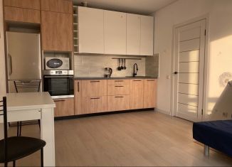 Сдам в аренду 1-комнатную квартиру, 38 м2, Челябинск, улица Академика Макеева, 36, ЖК Ньютон