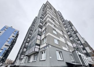 Аренда 1-ком. квартиры, 35 м2, Санкт-Петербург, Пискарёвский проспект, 165к1, Красногвардейский район