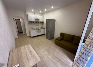 Продам квартиру студию, 24 м2, Анапа, ЖК Привилегия, Парковая улица, 61к4