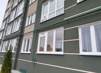 Продажа 1-комнатной квартиры, 28.3 м2, Пионерский, улица Гептнера, 17