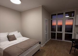 Сдача в аренду квартиры студии, 28 м2, Сочи, Православная улица, 14