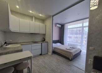 Сдам в аренду 1-ком. квартиру, 27 м2, Сочи, улица Гастелло, 27Бк1