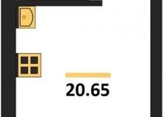 Продажа квартиры студии, 20.6 м2, Воронеж, Центральный район, Транспортная улица, 58