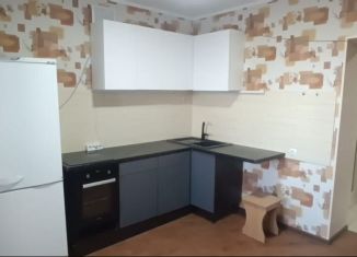 1-комнатная квартира в аренду, 43 м2, Орёл, улица Панчука, Заводской район