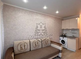 Квартира в аренду студия, 20 м2, Татарстан, улица Качалова, 84