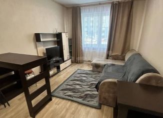 Сдается 1-ком. квартира, 33 м2, Санкт-Петербург, Муринская дорога, 25к3, метро Гражданский проспект