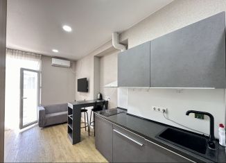 Квартира в аренду студия, 23 м2, Сочи, Клубничная улица, 62