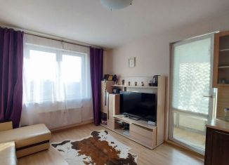 Продаю квартиру студию, 25 м2, Мурино, проспект Авиаторов Балтики, 1к1, ЖК Мой Город