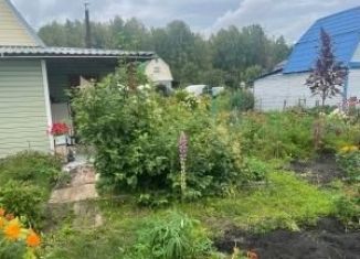 Продажа дачи, 33.9 м2, СНТ Химик, 2-я аллея, 27