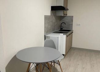 Сдача в аренду квартиры студии, 25 м2, Всеволожск, Крымская улица, 1