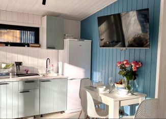 Сдача в аренду дома, 45 м2, Краснодарский край, Турбинная улица, 2