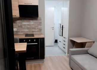 Аренда квартиры студии, 25 м2, поселок Верхнетемерницкий, улица Венеры, 23/2, ЖК Норд