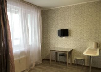 Квартира в аренду студия, 25 м2, Мурино, Екатерининская улица, 6к1, ЖК Виктория