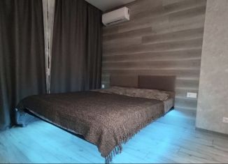 Аренда квартиры студии, 25 м2, Удмуртия, улица Ленина, 97А