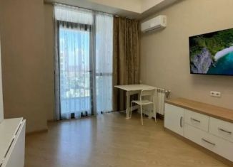 Продается 2-ком. квартира, 42 м2, Сочи, улица Голубые Дали, 34, микрорайон Голубые Дали