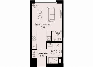 Продам квартиру студию, 25.7 м2, Санкт-Петербург, метро Петроградская