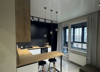 Продается квартира студия, 22.5 м2, Санкт-Петербург, улица Типанова, 23с1, улица Типанова