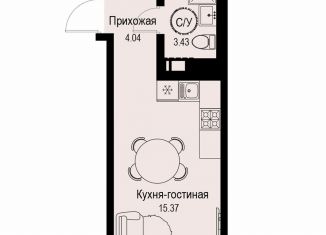 Продается квартира студия, 22.8 м2, Санкт-Петербург, метро Чёрная речка